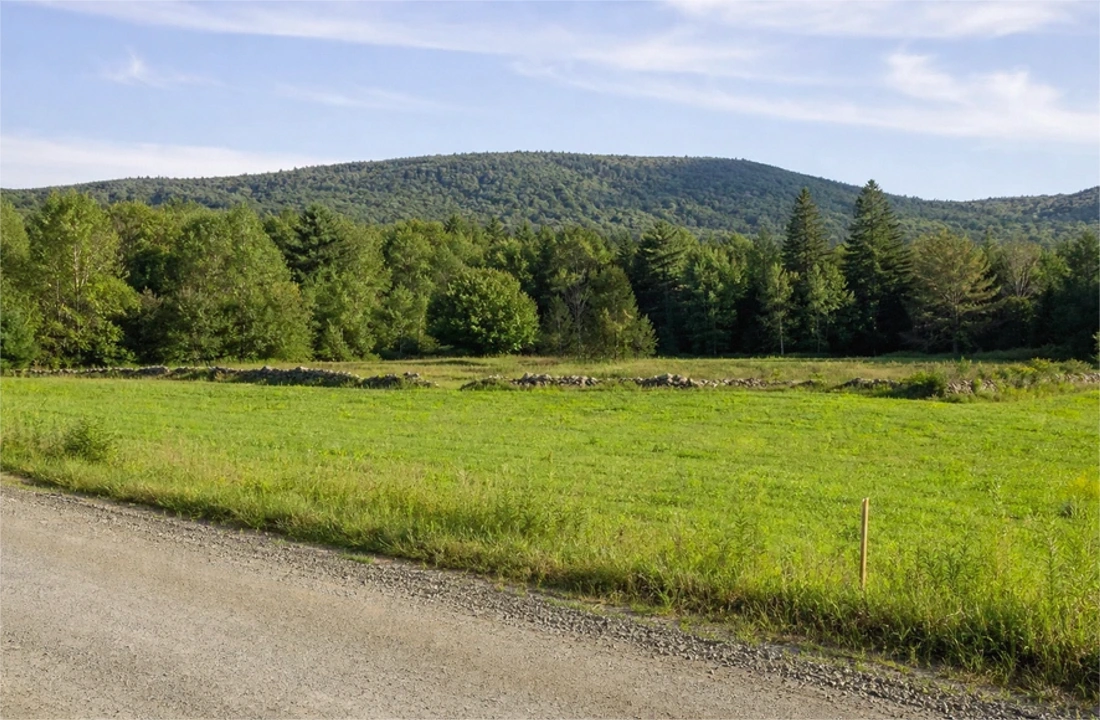 Michigan land offer review for Michigan Land Buyers