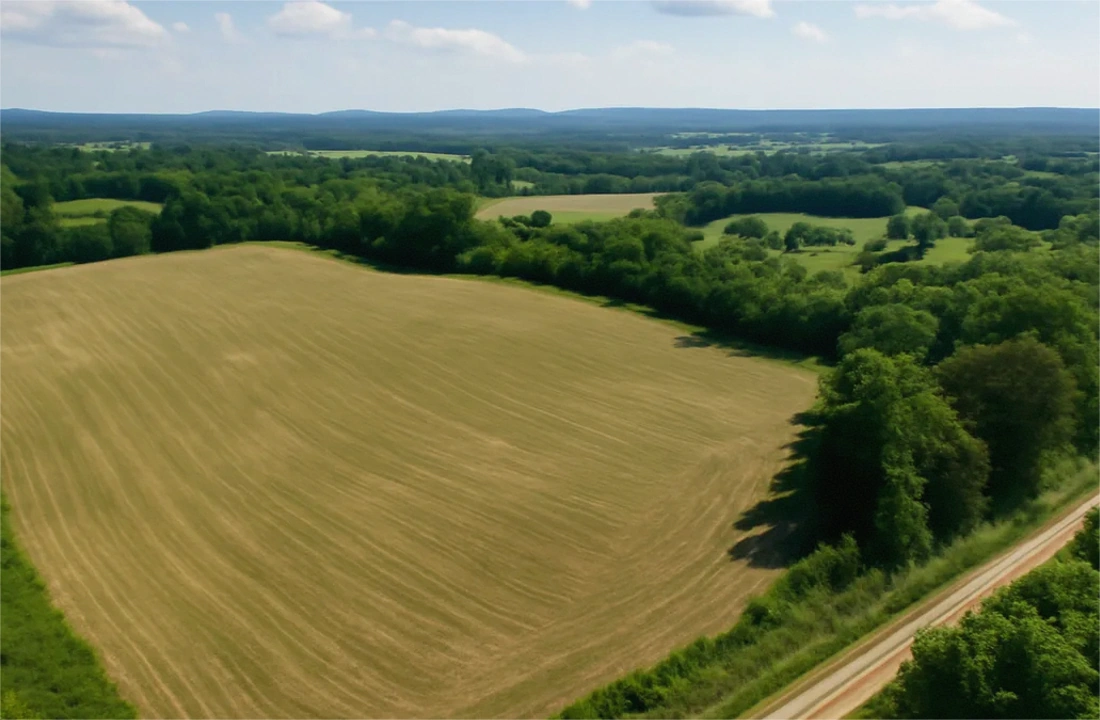 Michigan land offer review for Tax on Selling Land in Michigan